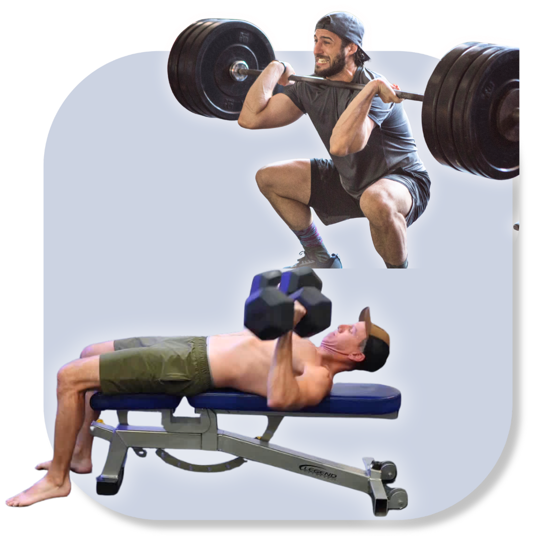 longevity_transparent