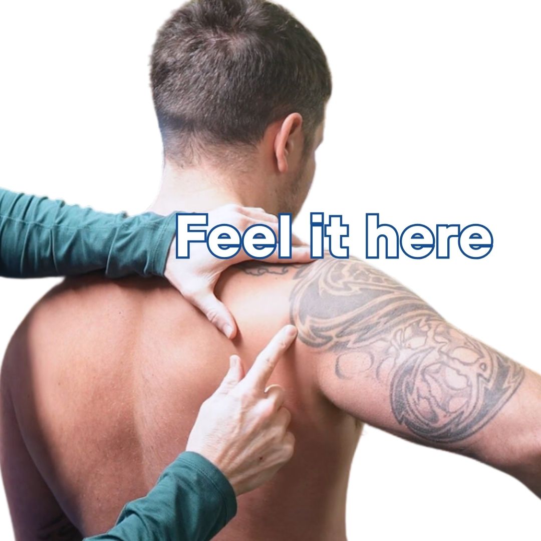 infraspinatus activation