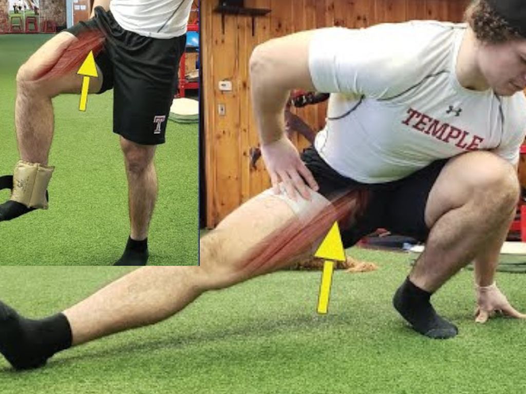 Groin and hip flexor strain rehabilitation exercise demonstration with anatomy overlay