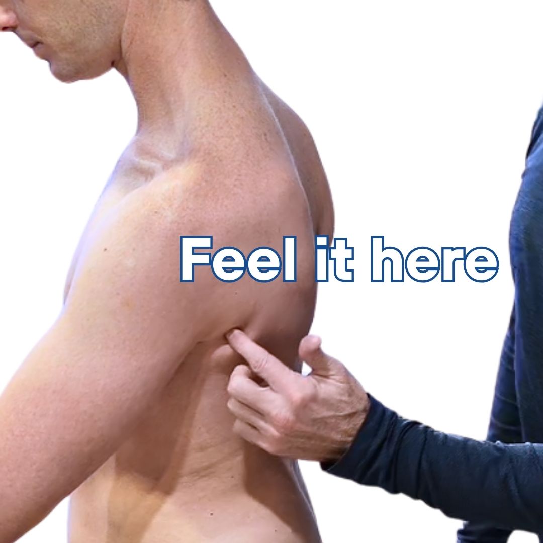 Therapist pointing to teres major muscle activation location on patient back